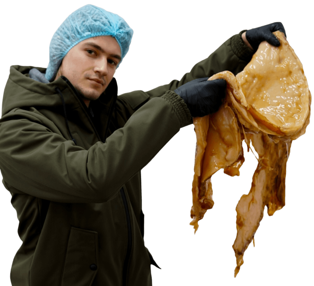 Процес виробництва комбучі Char у Києві – SCOBY в руках засновника