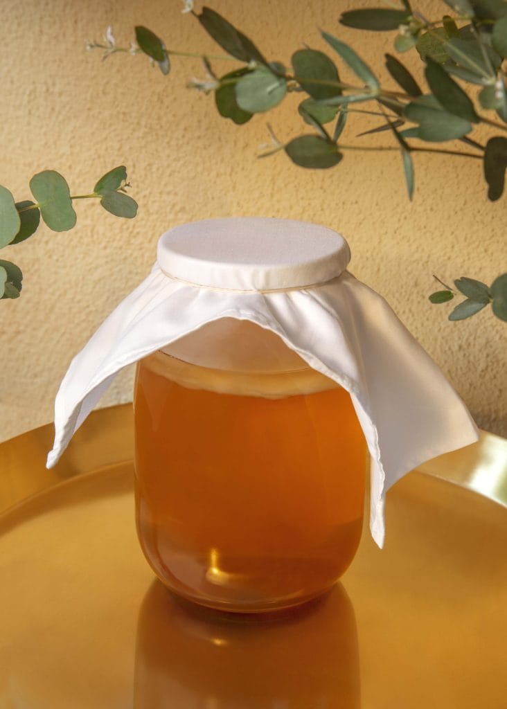 Ферментація комбучі в банці – перший крок створення напою Char у домашніх умовах